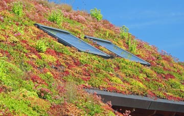 Norcote living roof systems